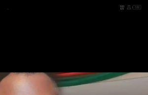 In Support of Dr. Otuaro: Genuine Leaders and Stakeholders of The Pap Stand United Against Blackmail, Praise Progress in Amnesty Programme.