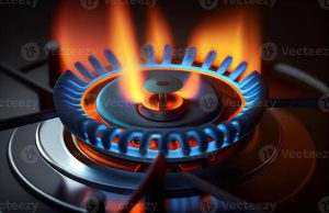 FG Moves to Censor Gas Sector: New Regulatory Clampdown Sparks Debate FrontNaija News | www.frontnaija.com