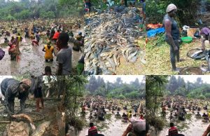 Echoes of the Ijaws: Fishing Festival Showcases Rich Culture & Timeless Traditions.