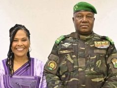 Niger Slashes Cement Prices by 35%, Bans Export to Boost Local Construction and Housing.