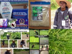 Young Bayelsa Rice Farmer, Friday Sini Jonah, Emerges 2025 Farmer of the Year — Calls for Government, NDDC Partnership.