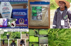 Young Bayelsa Rice Farmer, Friday Sini Jonah, Emerges 2025 Farmer of the Year — Calls for Government, NDDC Partnership.