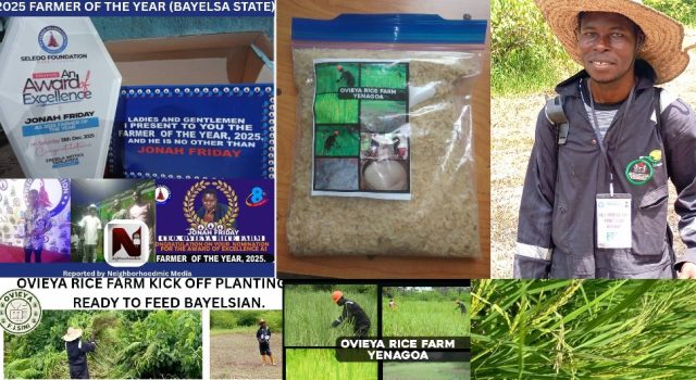 Young Bayelsa Rice Farmer, Friday Sini Jonah, Emerges 2025 Farmer of the Year — Calls for Government, NDDC Partnership.