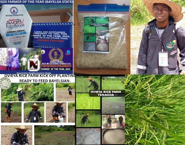 Flyerwiz_1765888808494~2